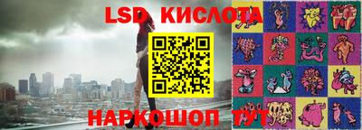 СК Краснознаменск