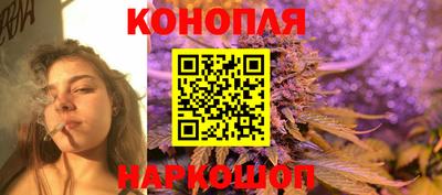 шишки Владивосток
