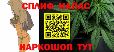 СК Краснознаменск