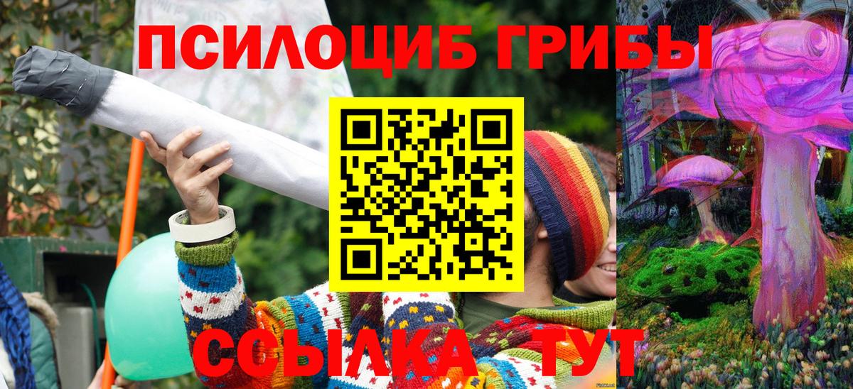 закладки  Галлюциногенные грибы мицелий  Вход с VPN  Коркино 
