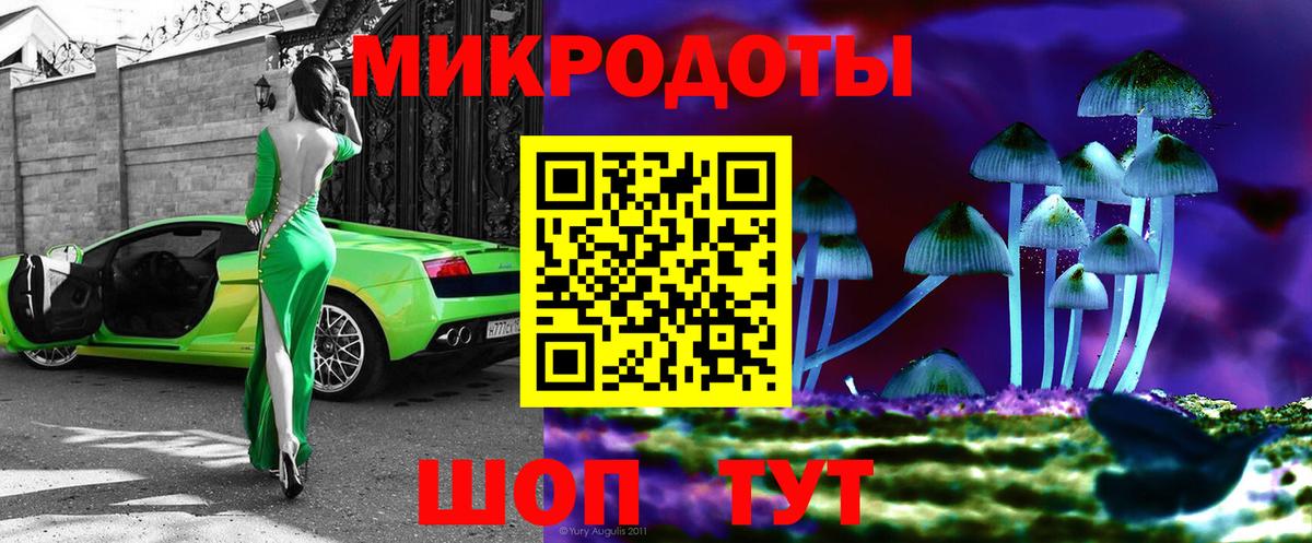 Псилоцибиновые грибы Cubensis Коркино
